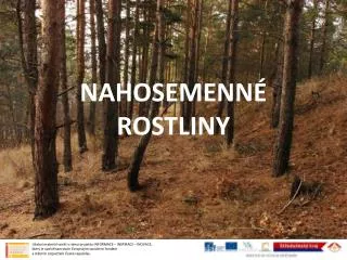 nahosemenn rostliny