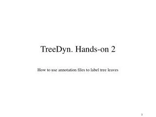 TreeDyn. Hands-on 2