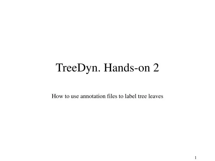 treedyn hands on 2