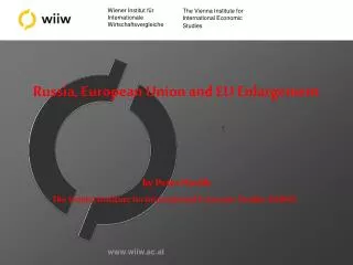 The Vienna Institute for International Economic Studies (WIIW)