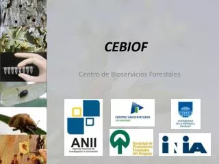 cebiof