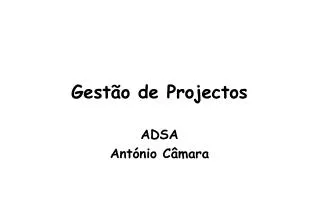 gest o de projectos