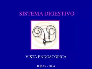 sistema digestivo
