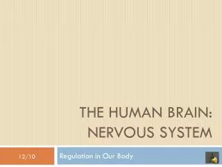 THE HUMAN BRAIN: NERVOUS SYSTEM