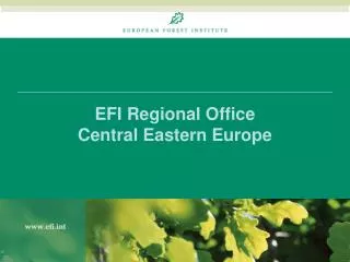 EFI Regional Office Central Eastern Europe