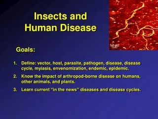 Insects and Human Disease