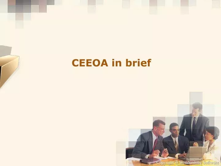 ceeoa in brief