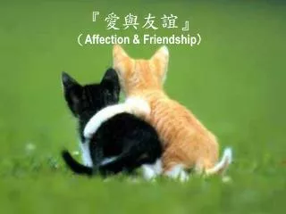 affection friendship