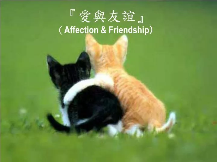 affection friendship