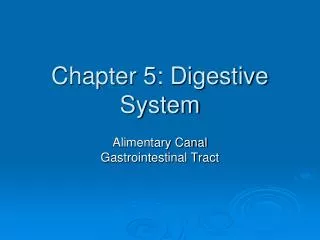 Chapter 5: Digestive System