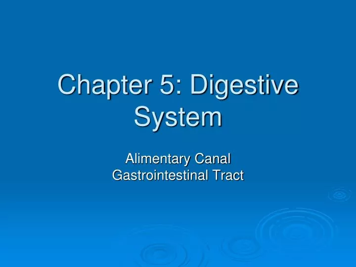 chapter 5 digestive system
