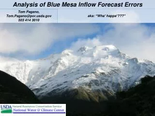 Analysis of Blue Mesa Inflow Forecast Errors