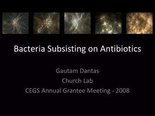 Bacteria Subsisting on Antibiotics