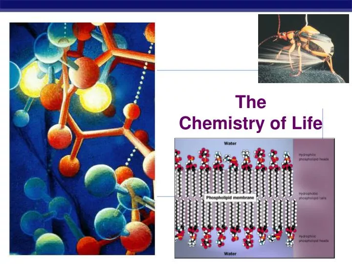 the chemistry of life