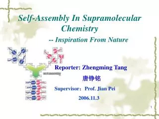 Self-Assembly In Supramolecular Chemistry -- Inspiration From Nature