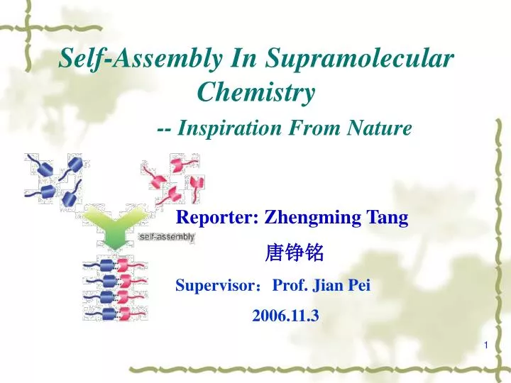 self assembly in supramolecular chemistry inspiration from nature