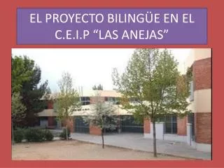 el proyecto biling e en el c e i p las anejas