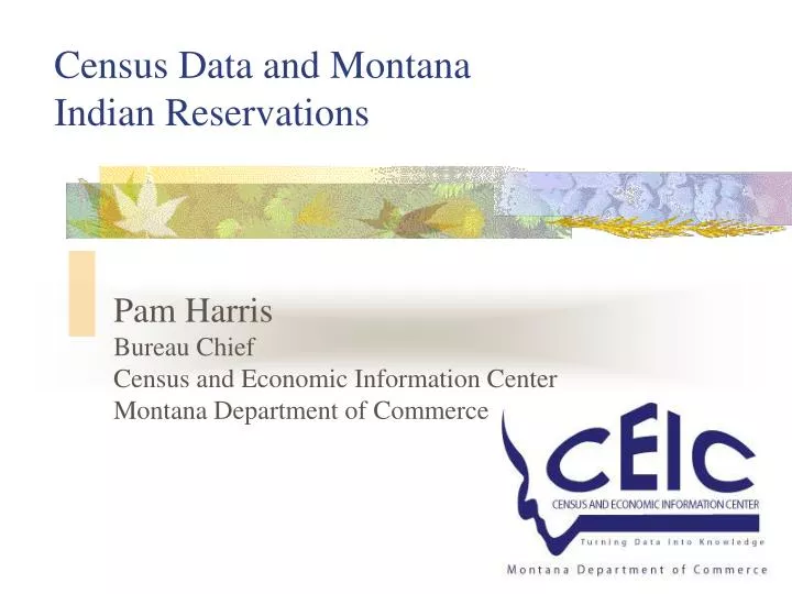 census data and montana indian reservations