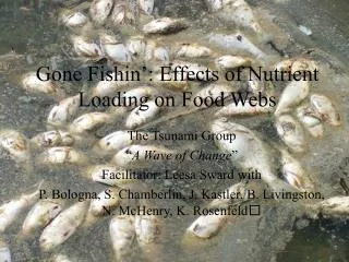 Gone Fishin’: Effects of Nutrient Loading on Food Webs