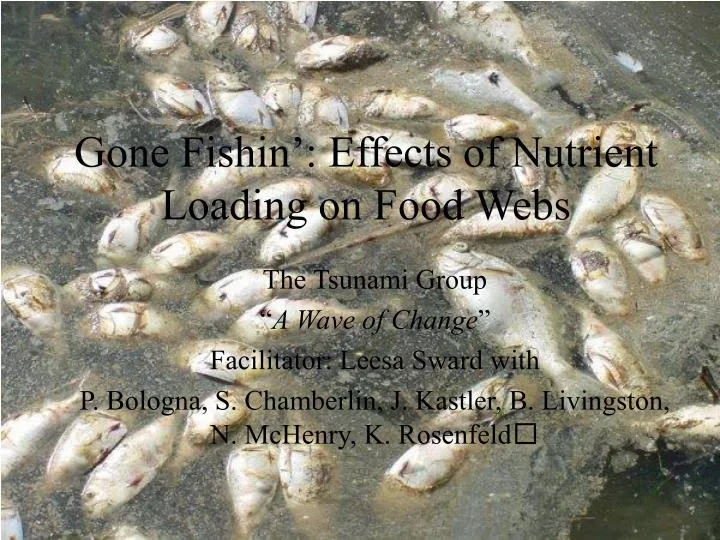 gone fishin effects of nutrient loading on food webs