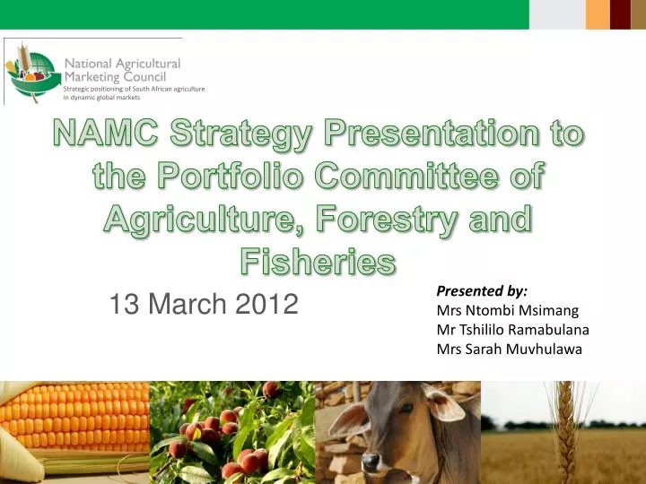 namc strategy presentation to the portfolio committee of agriculture forestry and fisheries