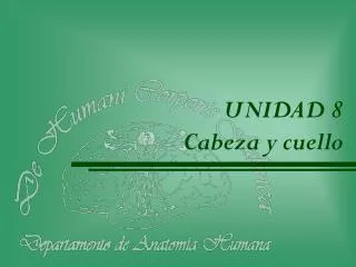 unidad 8 cabeza y cuello