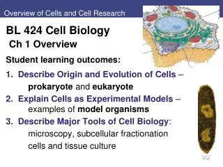 Overview of Cells and Cell Research