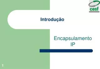 introdu o