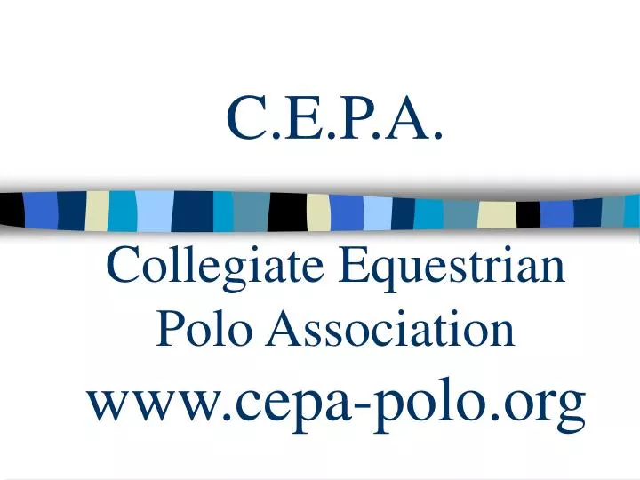 c e p a collegiate equestrian polo association www cepa polo org