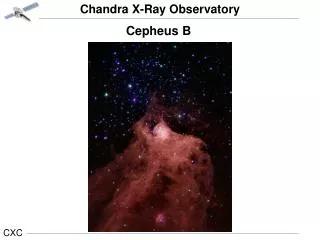 Cepheus B