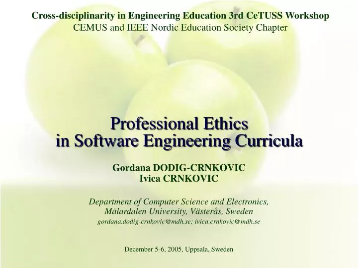 professional ethics in software engineering curricula