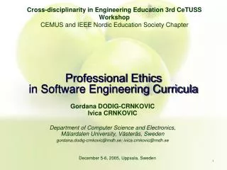Professional Ethics in Software Engineering Curricula