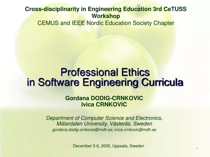 professional ethics in software engineering curricula