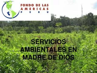 servicios ambientales en madre de dios