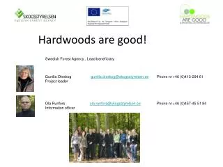 Hardwoods are good!