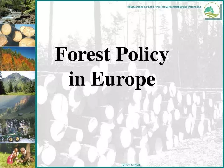 forest policy in europe
