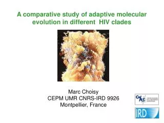 A comparative study of adaptive molecular evolution in different HIV clades
