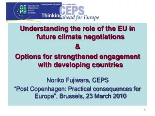 Understanding the role of the EU in future climate negotiations &amp;