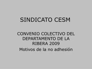 sindicato cesm