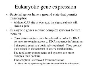 Eukaryotic gene expression