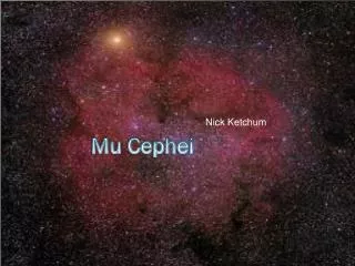 Mu Cephei