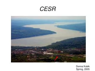 CESR