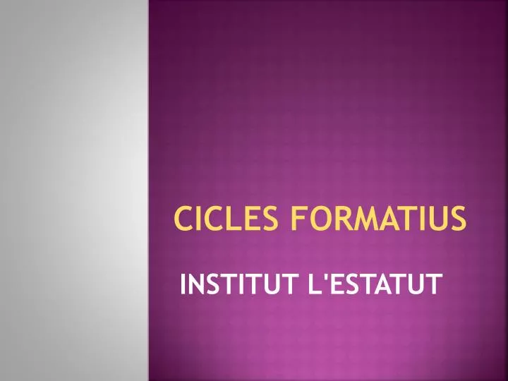 cicles formatius