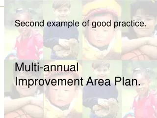 Second example of good practice. Multi-annual Improvement Area Plan.