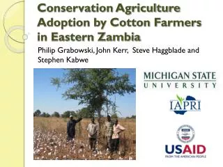 Conservation Agriculture Adoption by Cotton Farmers in Eastern Zambia
