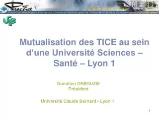 mutualisation des tice au sein d une universit sciences sant lyon 1