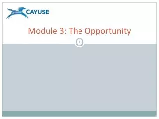 Module 3: The Opportunity
