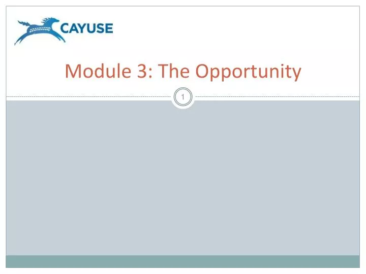 module 3 the opportunity