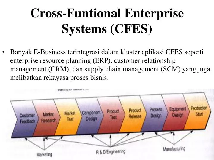 cross funtional enterprise systems cfes