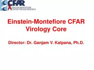 Einstein-Montefiore CFAR Virology Core Director: Dr. Ganjam V. Kalpana, Ph.D .